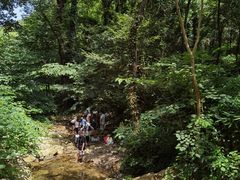 -素山寺森林公园