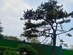 -东湖落雁景区