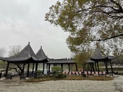 -八大山人梅湖景区