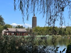 -西海子公园