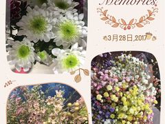 -杭州街角花屋花店(闻堰店)