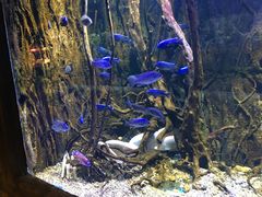 -华夏文旅海洋公园