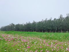 -首都师范大学(良乡校区)