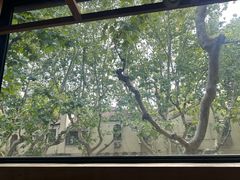 -毛辣果·酸(OHA复兴西路店)