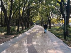 -水上明月·湖景餐厅