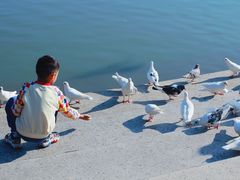 -上海交通大学(闵行校区)