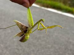 -玉渡山自然风景区
