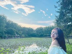 -合肥滨湖国家森林公园