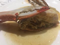 -宝燕壹号(徐汇店)