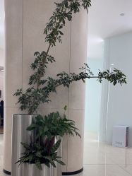 -AIST爱思特医疗美容医院