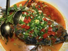 -坛宗剁椒鱼头(河西王府井店)