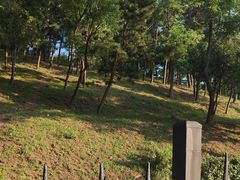 -金沙滩度假村