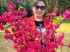 -南宁良凤江国家森林公园