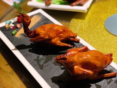 -大鸽饭(岗顶店)