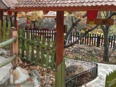 android_upload_pic-北京水岸山吧度假村(雁栖镇店)
