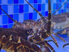 -映像威海·威海宴(威高广场店)