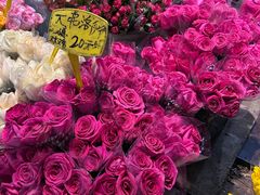 -循礼门鲜花花市(武汉循礼门店)