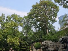-环城公园