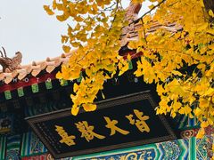 -千佛山风景名胜区