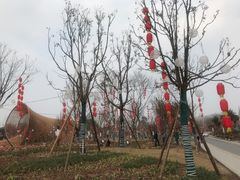 -三圣花乡旅游区