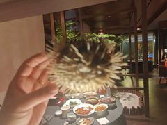 -肆月河豚·淮扬菜·湘菜(华天店)