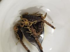-国英炖品店(甲子路店)