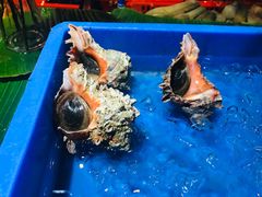 -79号渔船海鲜饭店(华强北店)