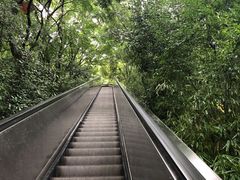 -天目湖山水园