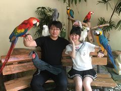 -吉隆坡雀鸟公园