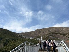 -大青山野生动物园