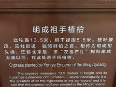 -北京市劳动人民文化宫