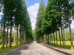 -青城山