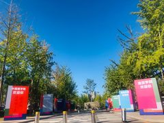 -巴依老爷新疆美食(望京小街店)