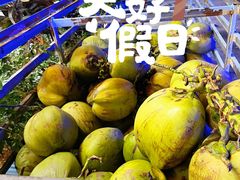 -墨脱石锅椰子鸡•海鲜糟粕醋(榆亚路店)