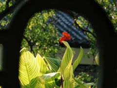 -杭州植物园