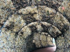 -北海金海湾红树林生态旅游区