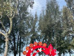 -宝安西湾红树林湿地公园