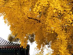 -北京石刻艺术博物馆(五塔寺)