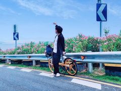 -玫瑰海岸文化旅游度假区