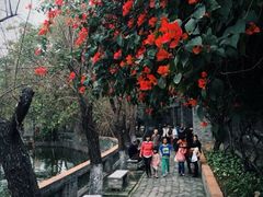 upload_pic-东莞市可园博物馆