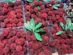 -叶氏兄弟果业(文二西路店)
