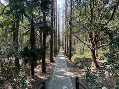 -同里国家湿地公园