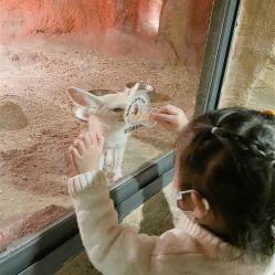 -酷嗒动物文化乐园(cutezoo西溪乐天城店)