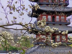 -上海方塔园