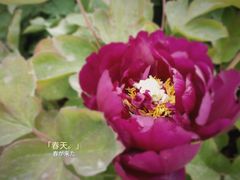 -陕西省西安植物园