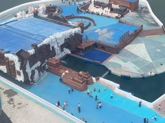 -秦皇岛乐岛海洋王国