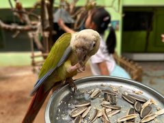 -北京野生动物园