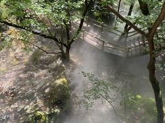 -牛背梁国家森林公园