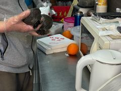 -旺福楼·包点(碑亭巷店)