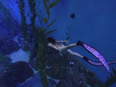 -波塞冬旅游度假区